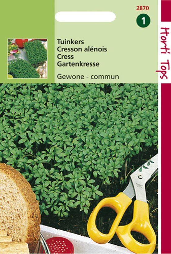 Gartenkresse einfache (Lepidium sativum) 6000 Samen HT